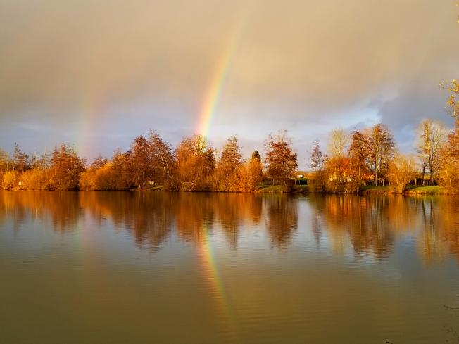 Débroussaillage des berges 2024