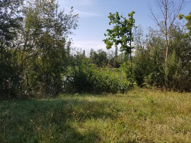 Débroussaillage des postes de pêche