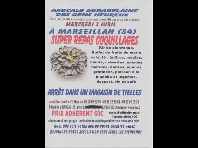 SORTIE COQUILLAGES à MARSEILLAN (34)