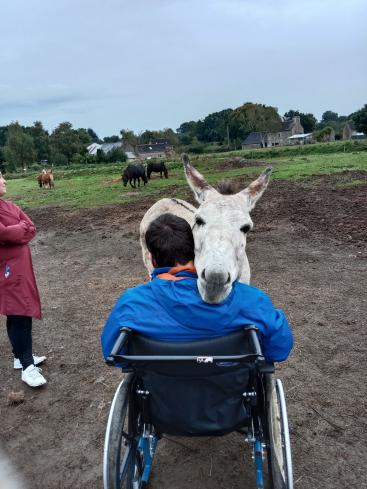 SE DETENDRE AVEC LE CHEVAL 