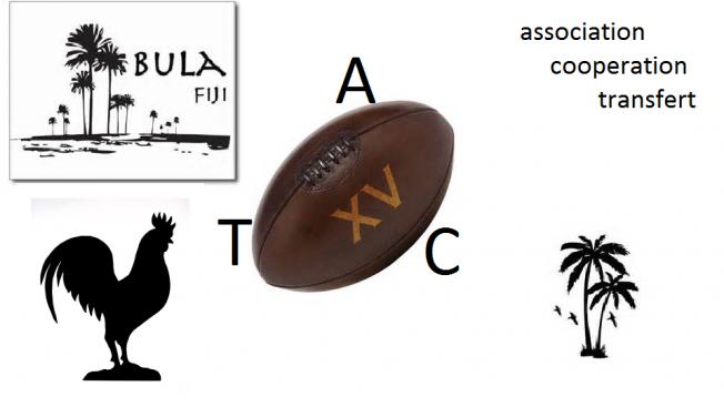 NOUS IRONS SALUER LES JOUEURS DES ILES FIDJI A LA PROCHAINE COUPE DU MONDE DE RUGBY 