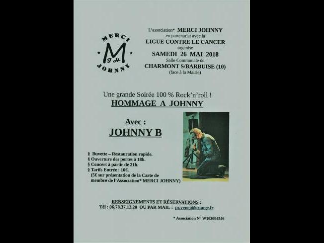 Concert-Hommage à JOHNNY