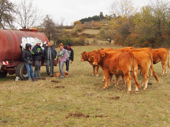 Randonné thématique élevage 