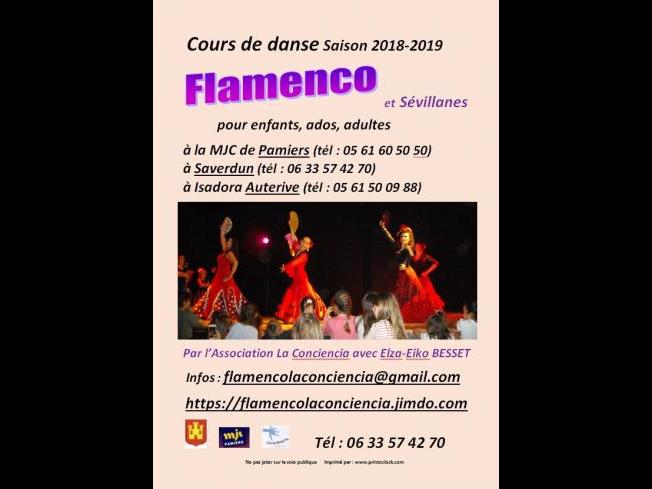 Cour de danse Flameco à Saverdun
