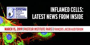 One-Day GREMI meeting Inflamed cells: Latest news from the inside March 15th, 2019 - Pasteur Institute, Paris