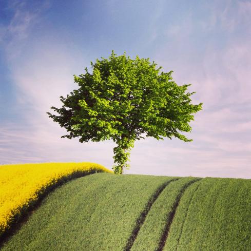 Sophrologie : Porte Ouverte Vendredi 13 septembre de 18h30 à 19h30 La Gentte